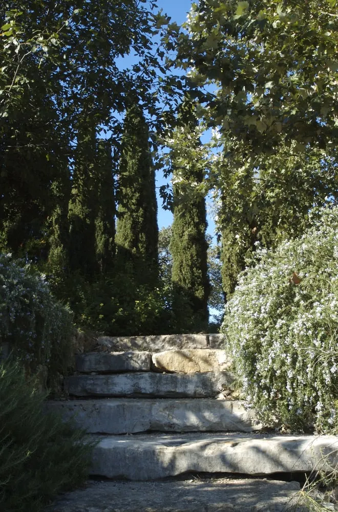 Expert yard cleanup service in Austin, TX - Barger Brenda Landscape Design