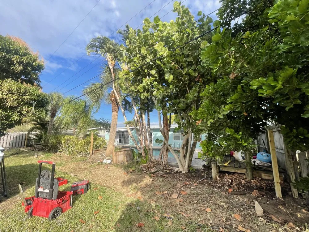 Expert yard cleanup service in Satellite Beach, FL - Bargo Enterprises