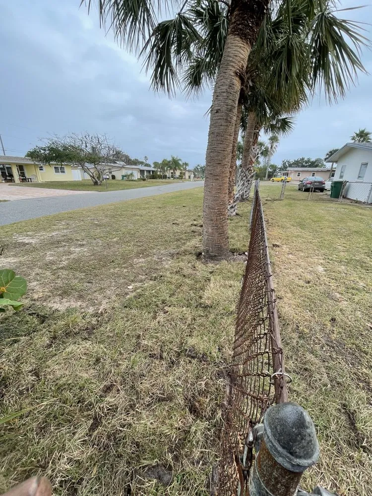 Reliable landscaping services for beautiful yards in Satellite Beach, FL by Bargo Enterprises