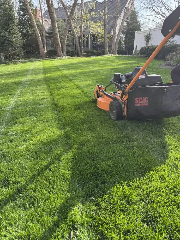 Expert yard cleanup service experts serving Kansas City, KS - Barillas Landscape