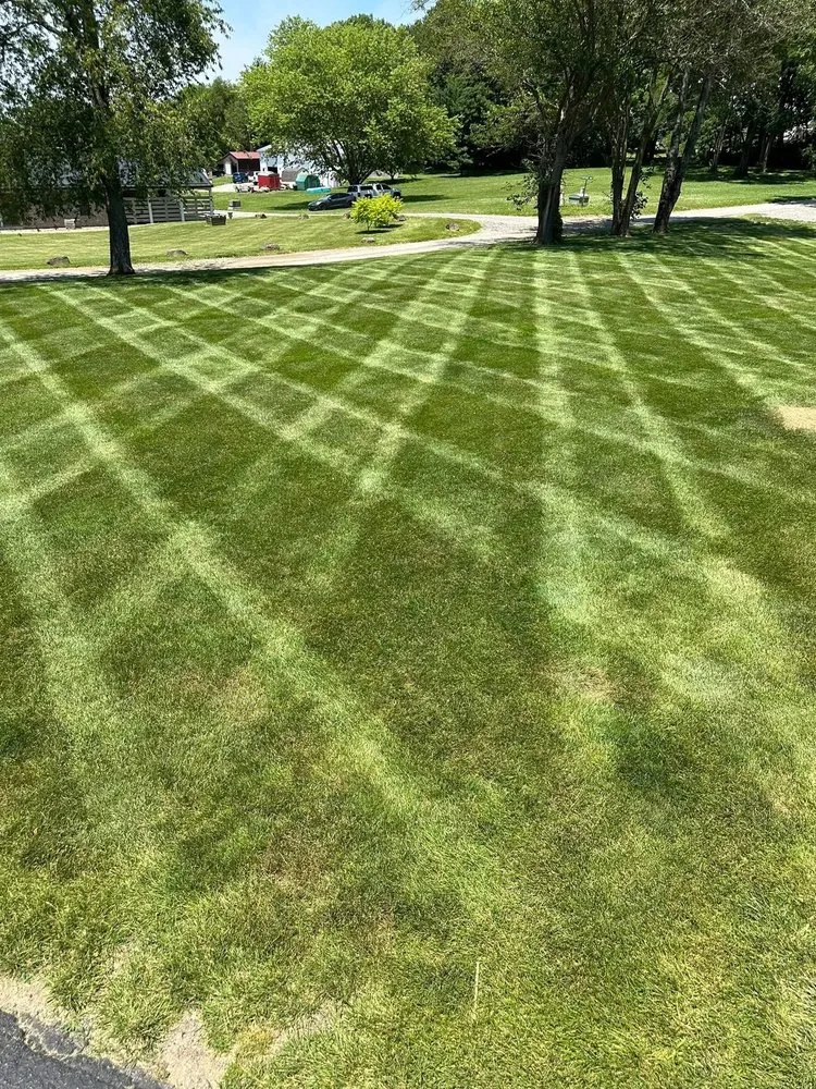 Custom yard cleanup service with custom design in Kansas City, KS by Barillas Landscape