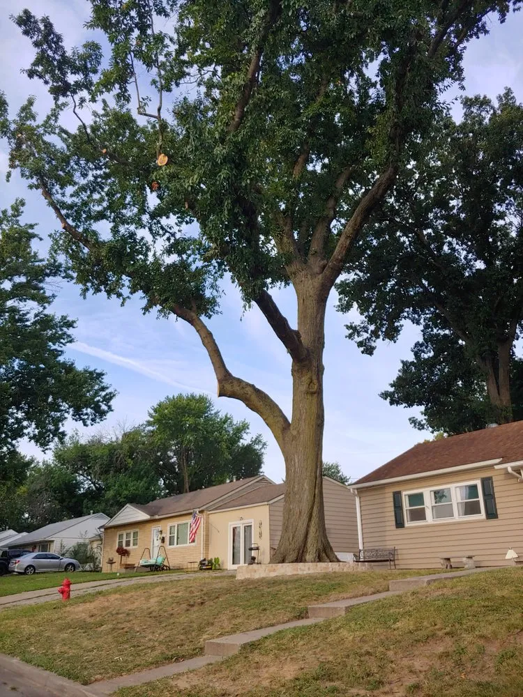 Professional landscape design experts serving Kansas City, KS - Barillas Landscape