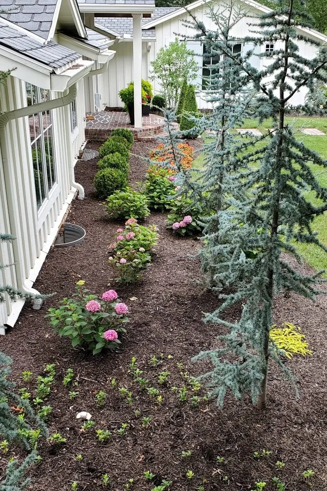 Trusted yard cleanup service for residential properties across Kansas City, KS - Barillas Landscape