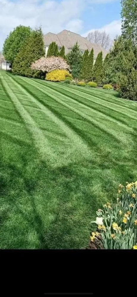 Local yard maintenance in Kansas City, KS by Barillas Landscape