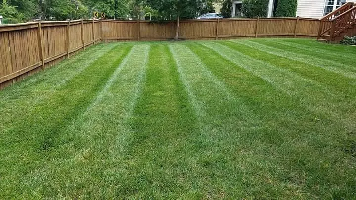 Trusted landscaping services experts serving Herndon, VA - Barillas Landscaping