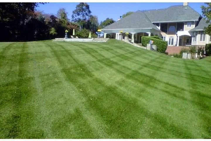 Reliable residential landscaping in Herndon, VA - Barillas Landscaping