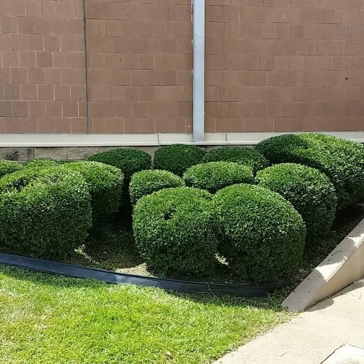 Affordable yard cleanup service in Herndon, VA - Barillas Landscaping