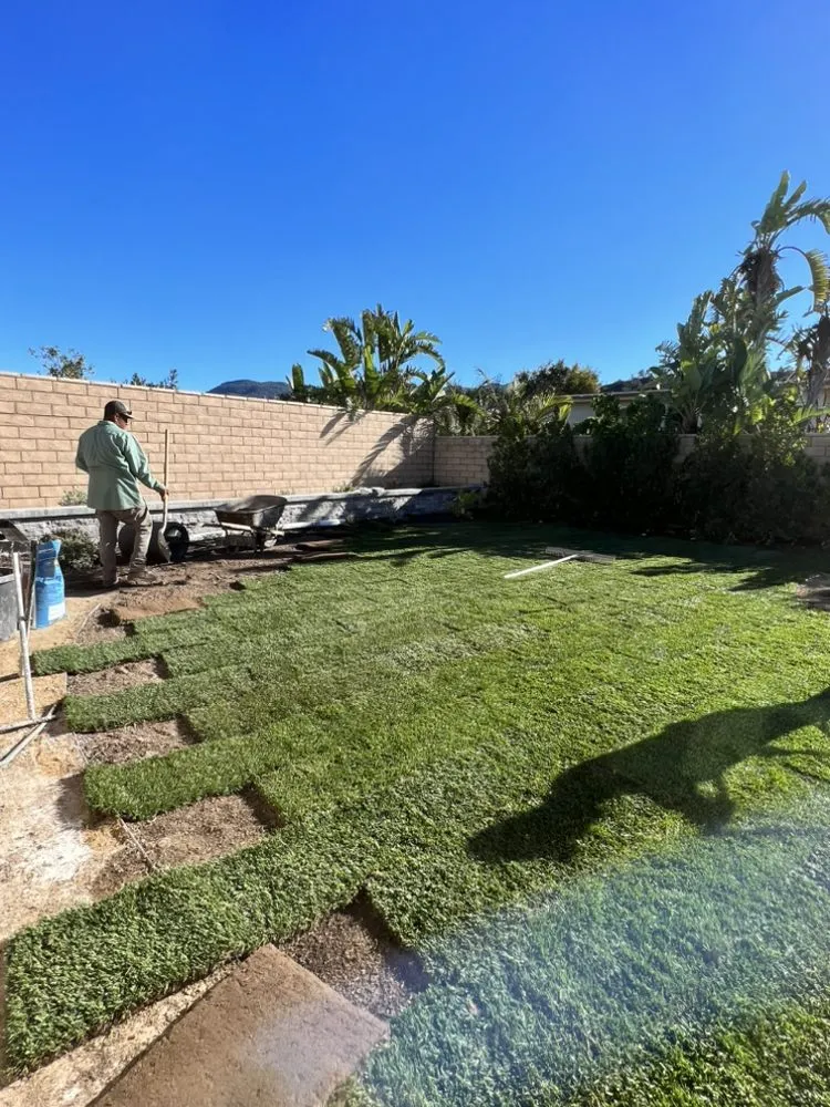 Expert landscaping services in Santa Paula, CA by Bark & Branch Landscaping