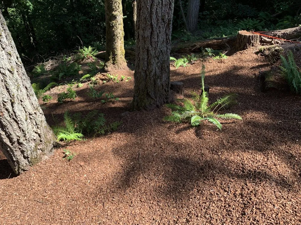 Top-rated outdoor landscaping in Portland, OR - Bark Blowers