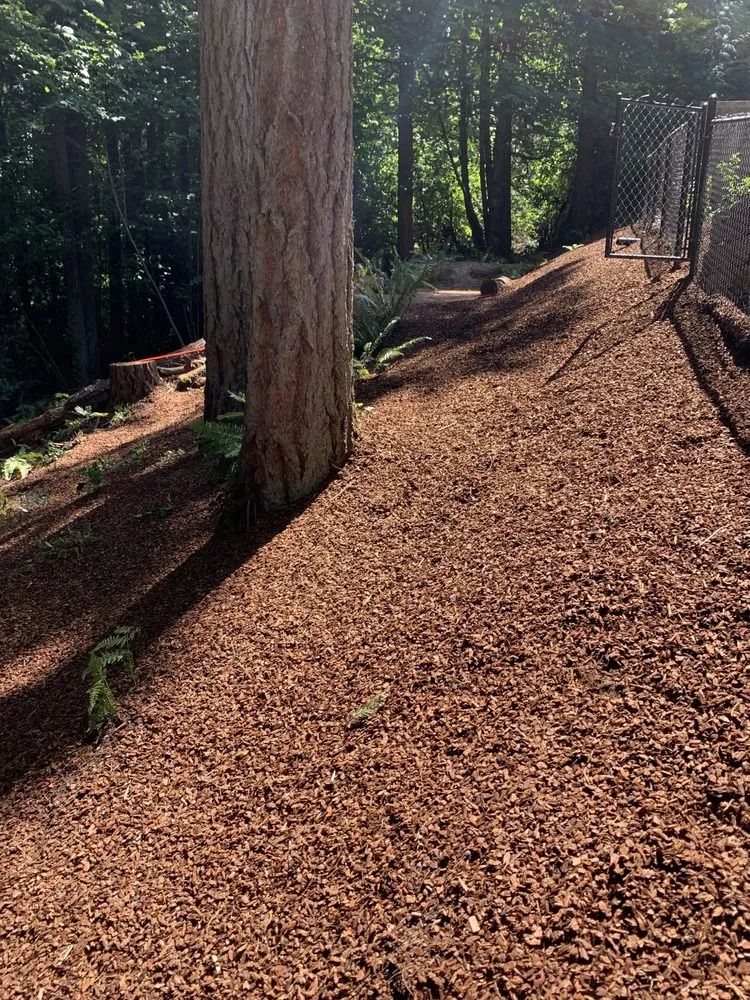 Custom yard cleanup service for year-round maintenance across Portland, OR - Bark Blowers