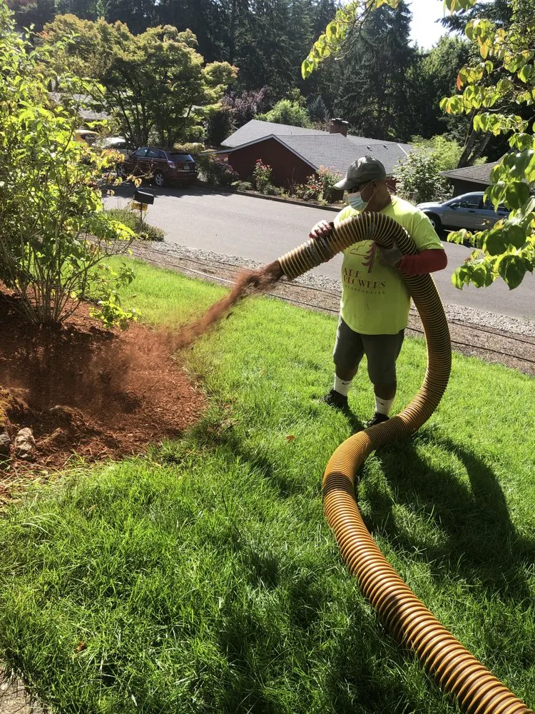 Custom yard maintenance in Portland, OR by Bark Blowers