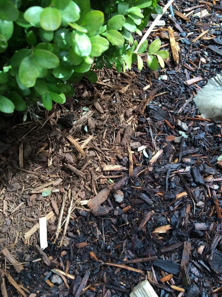 Reliable lawn mowing service for residential properties in Portland, OR by Bark Blowers