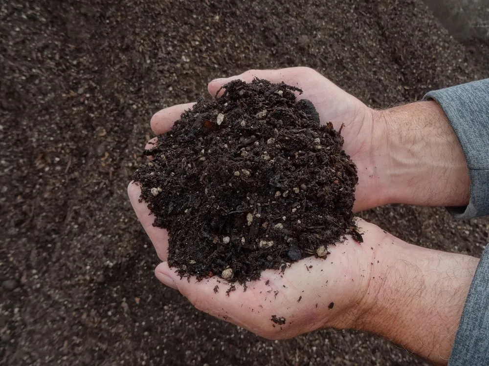 Reliable garden landscaping in Portland, OR - Bark Blowers