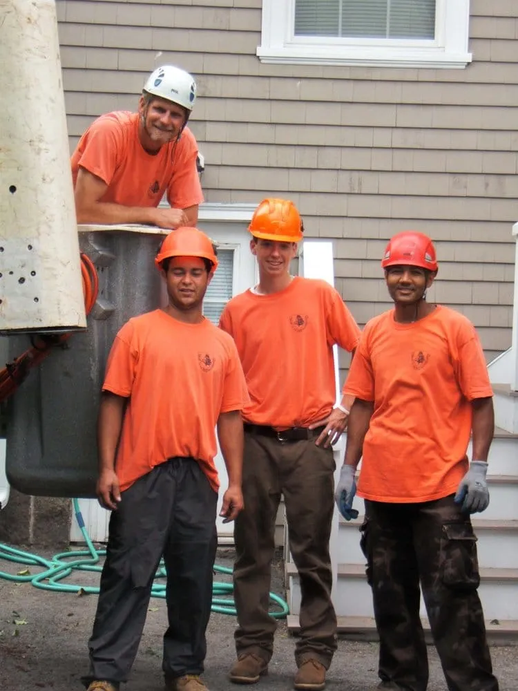 Local garden landscaping in Westwood, MA - Bark Busters Tree Service