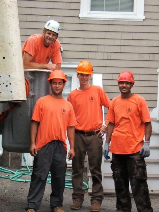 Trusted landscape design in Westwood, MA by Bark Busters Tree Service