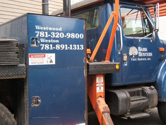 Reliable landscape design near you in Westwood, MA by Bark Busters Tree Service