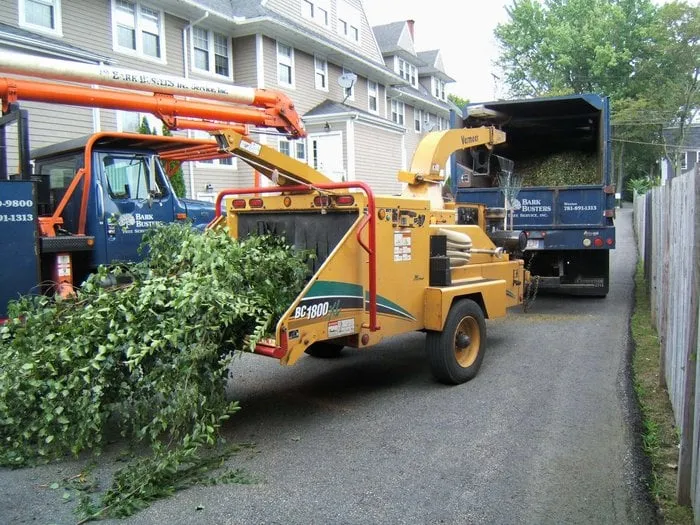 Reliable lawn care service in Westwood, MA by Bark Busters Tree Service