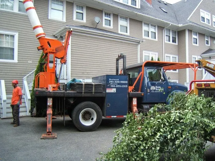 Affordable landscape installation near you across Westwood, MA - Bark Busters Tree Service