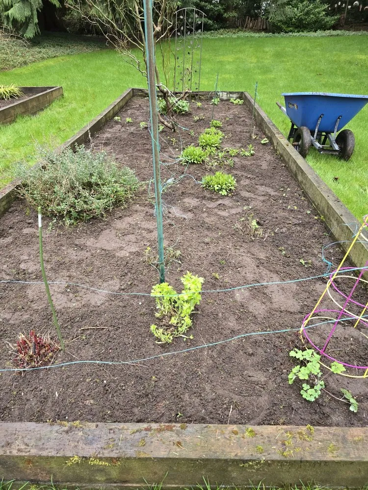 Expert lawn care service experts serving Woodinville, WA - Bark King Blower Truck Service