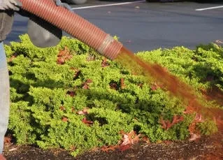 Custom landscape installation for homes across Woodinville, WA - Bark King Blower Truck Service