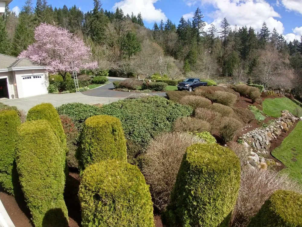 Top-rated landscape design for beautiful yards in Woodinville, WA by Bark King Blower Truck Service