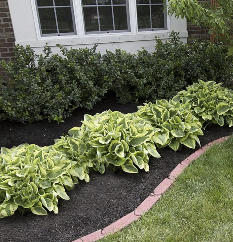 Affordable lawn care service in Woodinville, WA - Bark King Blower Truck Service