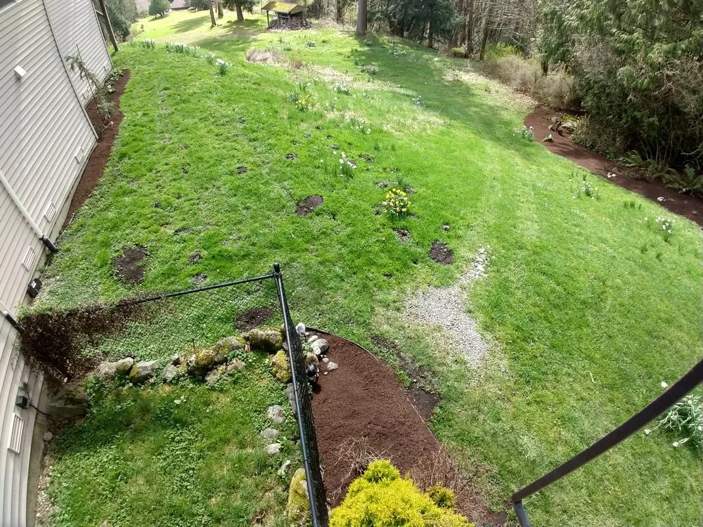 Professional residential landscaping in Woodinville, WA - Bark King Blower Truck Service