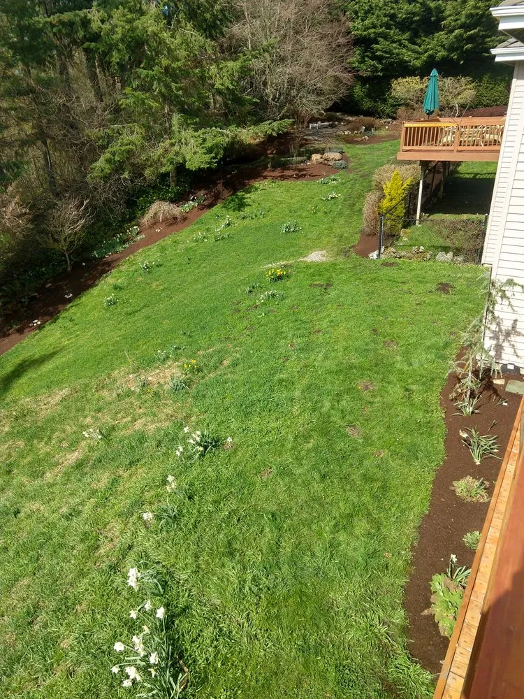 Professional lawn mowing service with custom design in Woodinville, WA by Bark King Blower Truck Service