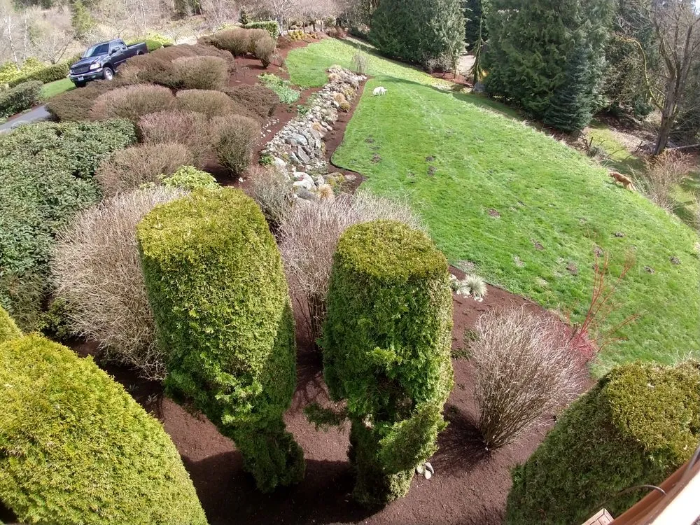 Affordable outdoor landscaping in Woodinville, WA - Bark King Blower Truck Service