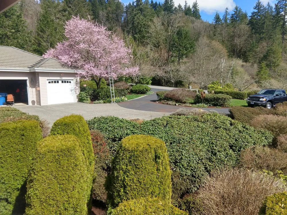 Top-rated yard maintenance in Woodinville, WA by Bark King Blower Truck Service