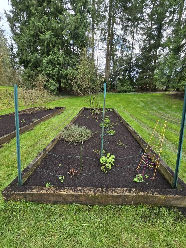 Expert lawn mowing service experts serving Woodinville, WA - Bark King Blower Truck Service