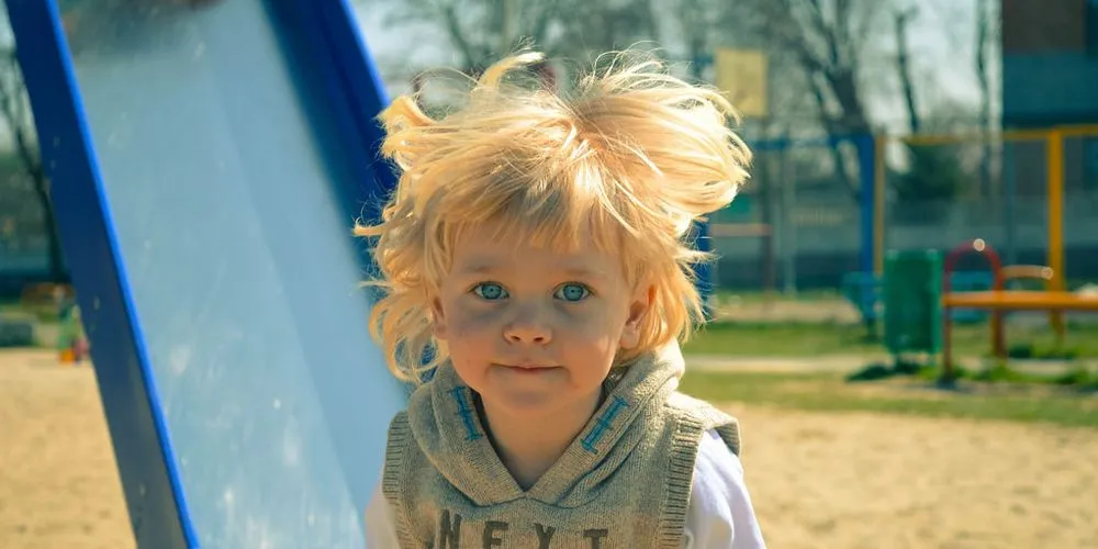 Local yard cleanup service experts serving Woodinville, WA - Bark King Blower Truck Service