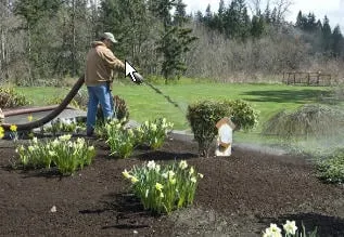 Reliable yard cleanup service for beautiful yards across Woodinville, WA - Bark King Blower Truck Service