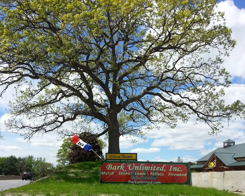 Affordable landscaping services for beautiful yards in Shrewsbury, MA by Bark Unlimited