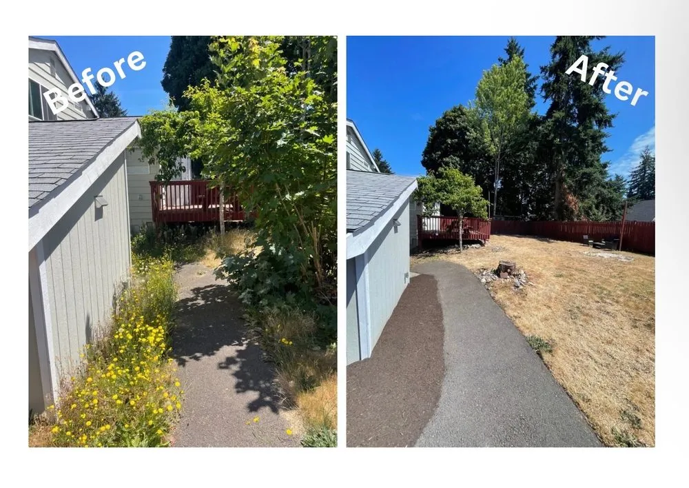 Professional outdoor landscaping in Auburn, WA by Barkai Landscaping