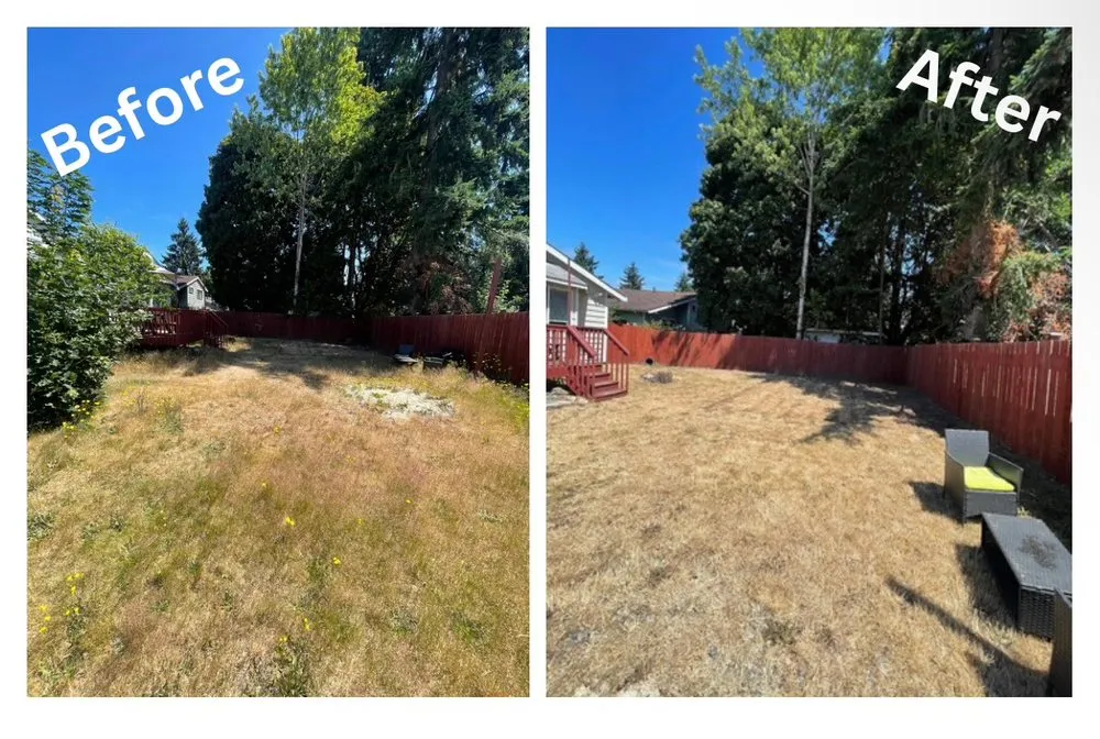 Top-rated yard cleanup service for homes in Auburn, WA by Barkai Landscaping