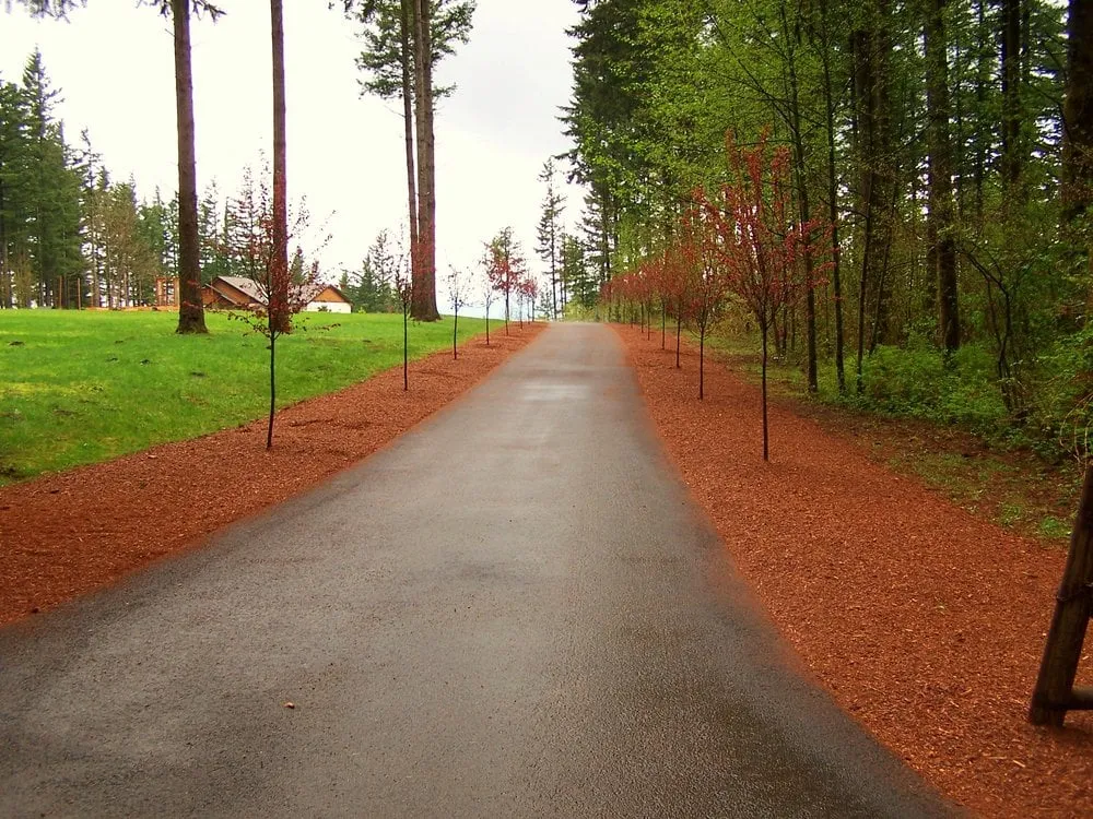 Professional yard cleanup service experts serving Vancouver, WA - Barkdusters