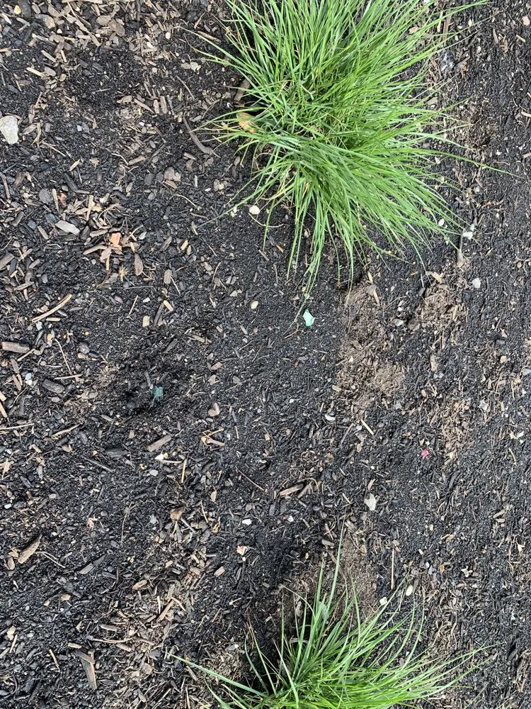 Affordable garden landscaping experts serving Vancouver, WA - Barkdusters