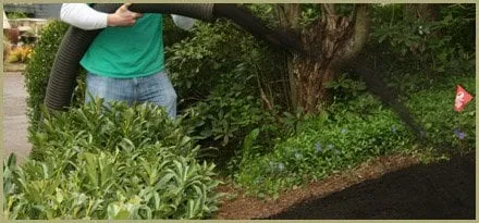 Expert outdoor landscaping near you across Vancouver, WA - Barkdusters