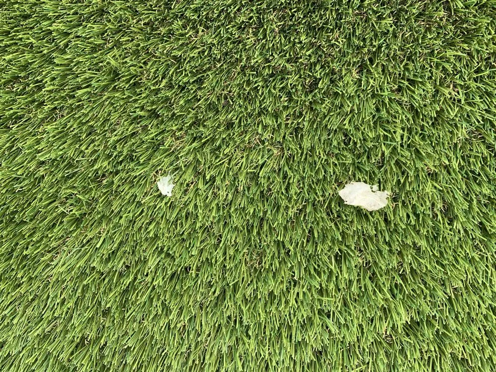 Expert lawn mowing service in Vancouver, WA - Barkdusters