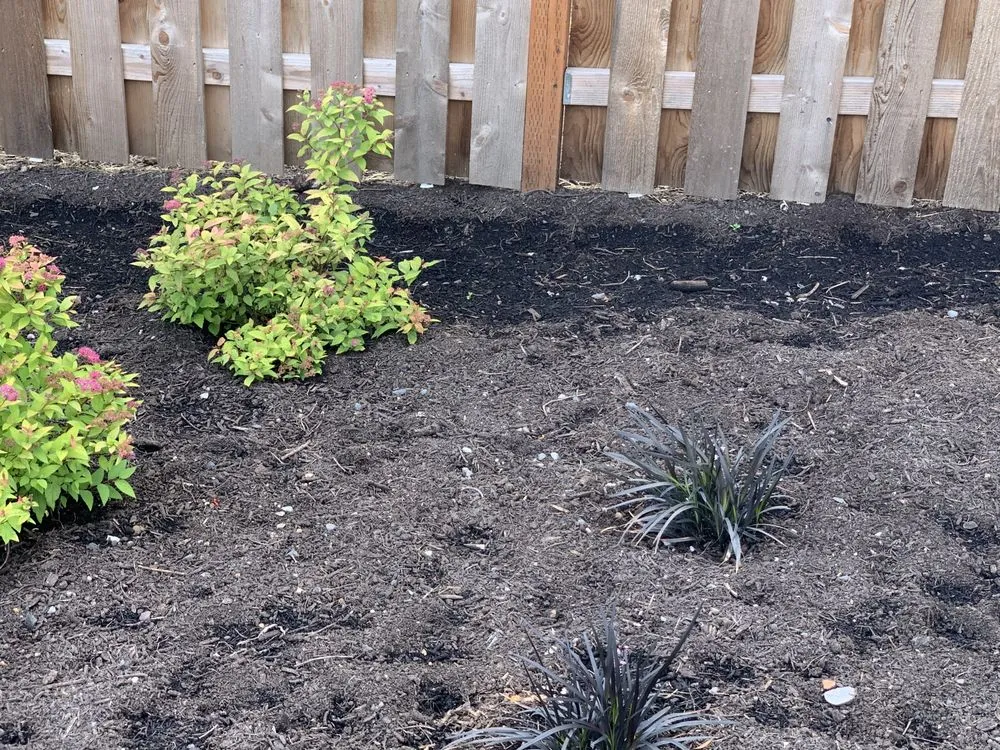 Trusted yard cleanup service in Vancouver, WA - Barkdusters