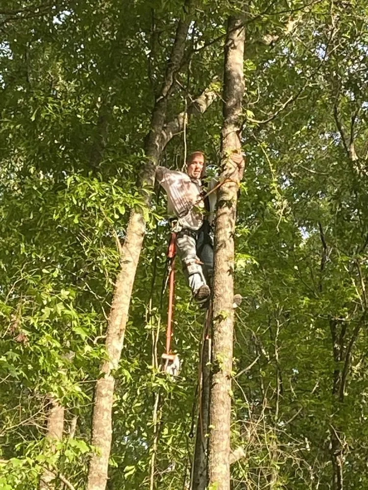 Local lawn mowing service in Jonesboro, GA by Barkers 360 Services