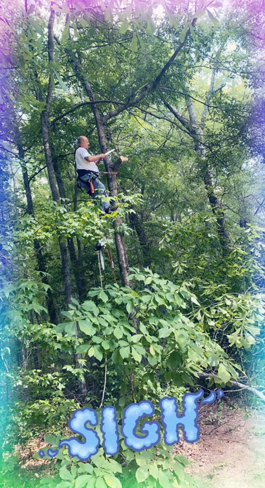 Local landscape design in Jonesboro, GA - Barkers 360 Services