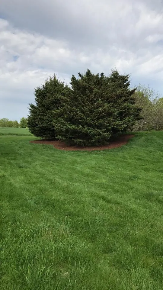 Trusted lawn care service experts serving Oconomowoc, WI - Barkers Landscape Management