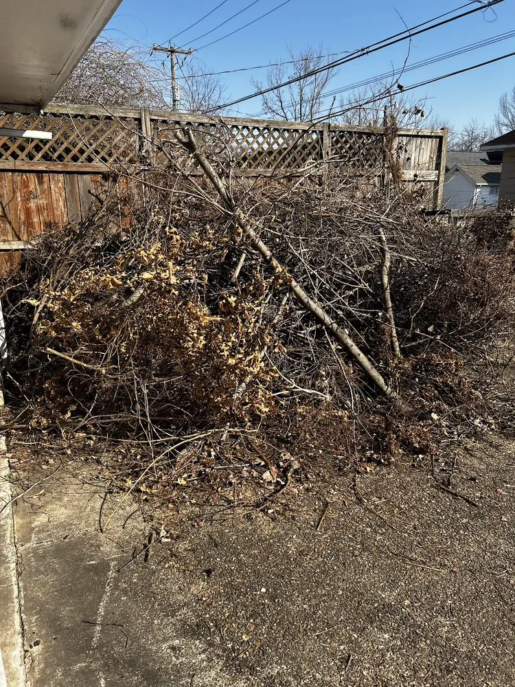 Affordable yard maintenance for beautiful yards in Milton, WV by Barker’s Lawn care & Handyman Service