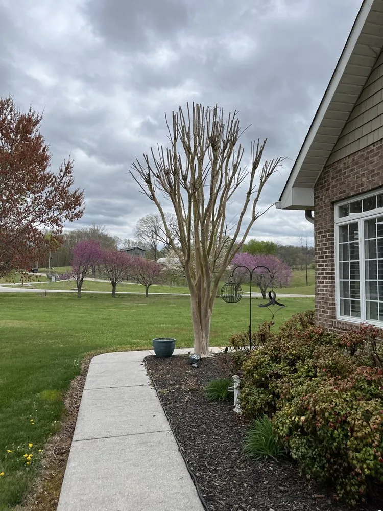 Affordable lawn mowing service experts serving Knoxville, TN - Barkin Trees & Landscaping