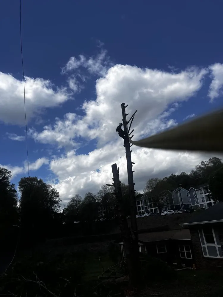 Custom landscape design in Knoxville, TN by Barkin Trees & Landscaping