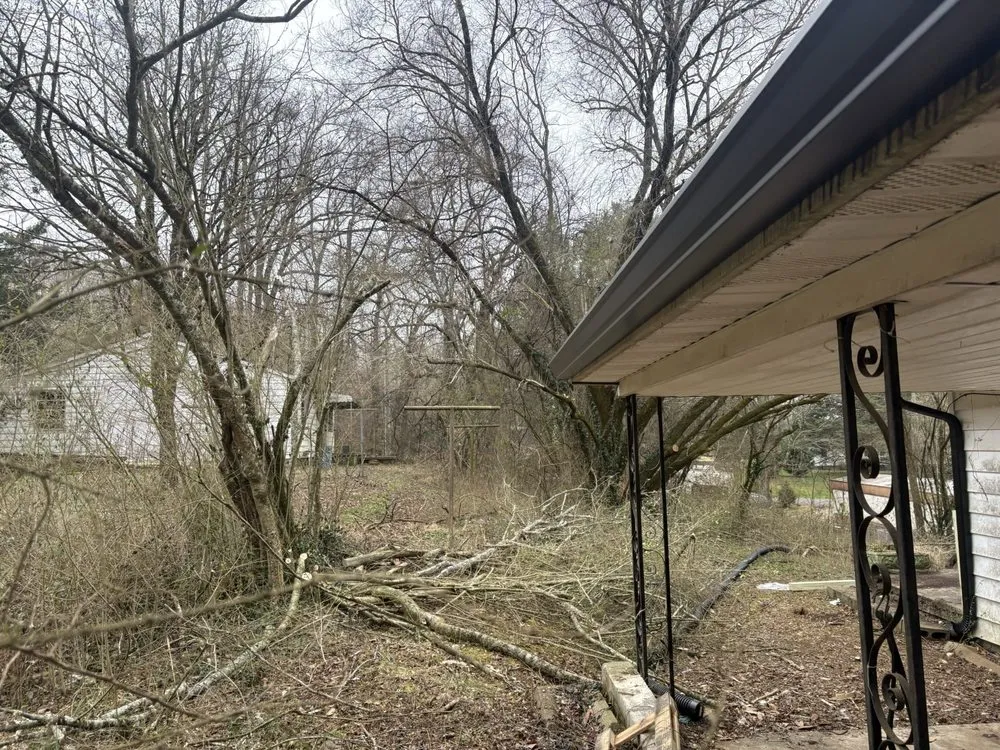 Trusted landscape installation for homes in Knoxville, TN by Barkin Trees & Landscaping