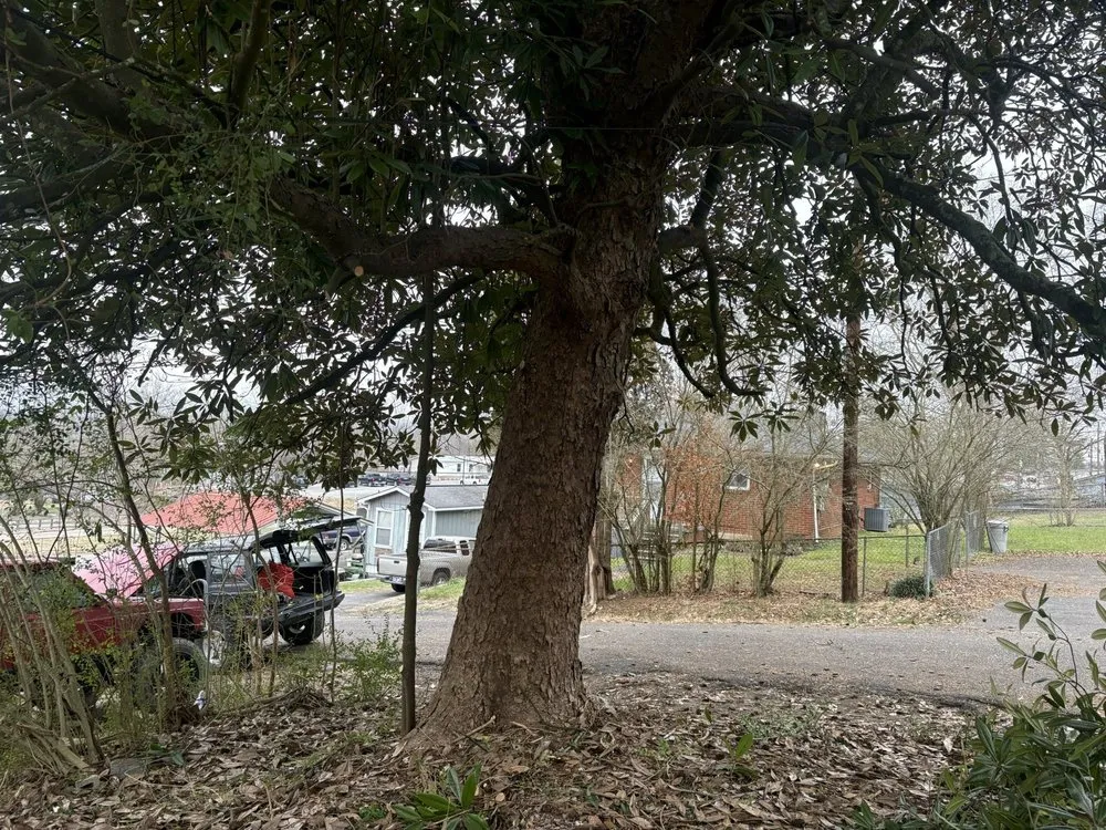 Local landscape installation for homes in Knoxville, TN by Barkin Trees & Landscaping