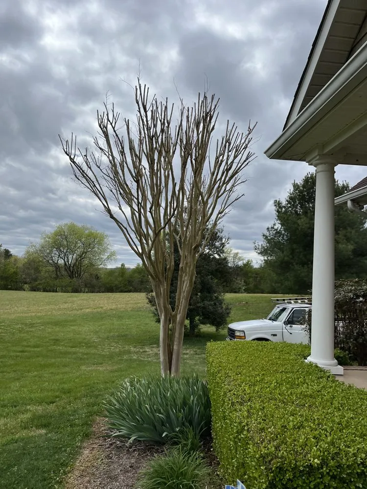 Professional lawn care service with custom design across Knoxville, TN - Barkin Trees & Landscaping